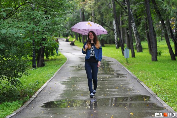 Холодное лето в городе