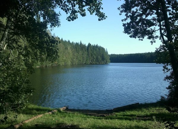 Озеро Нерское Дмитровский район