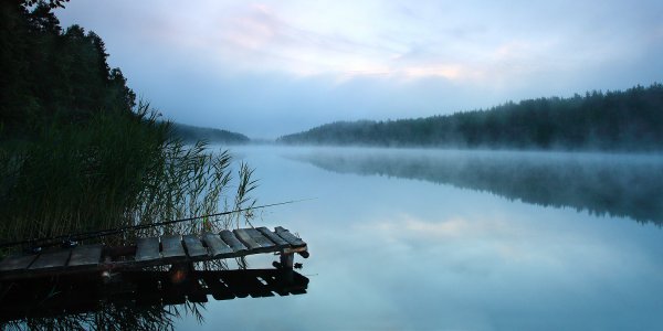 Озеро долгое Солнечногорский район