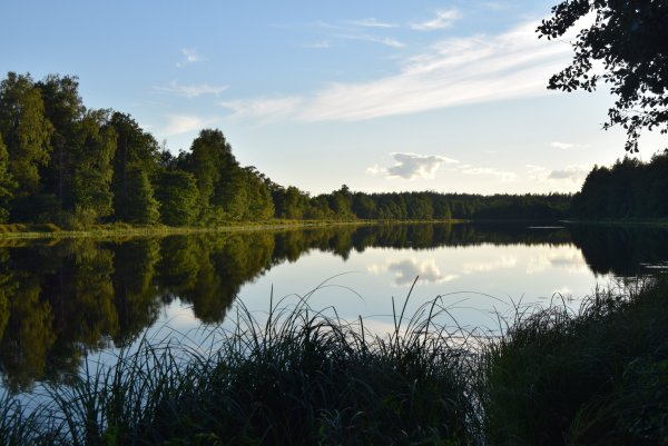 Озеро долгое Витебская область