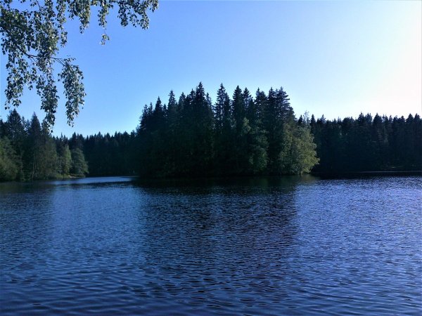 Озеро Кривое Приозерский район