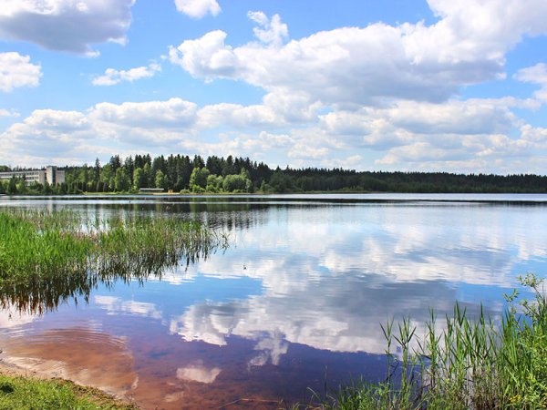 Озеро долгое Дмитровский район