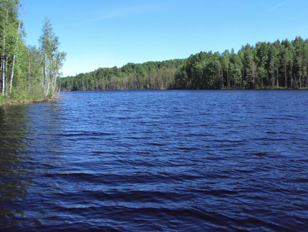 Озеро Нерское Лобня