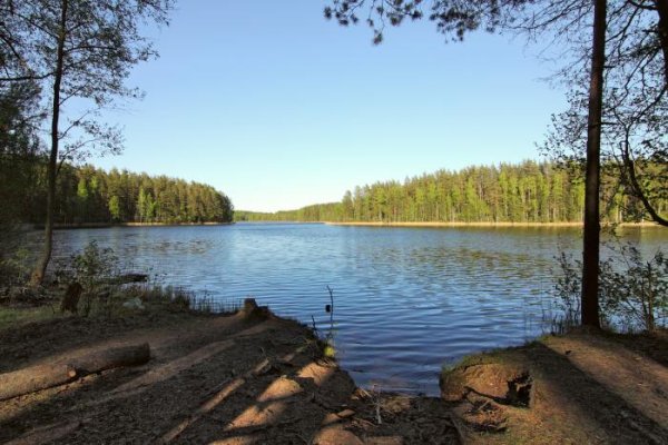 Озеро долгое Лобня