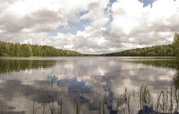 Озеро долгое Дмитровский район