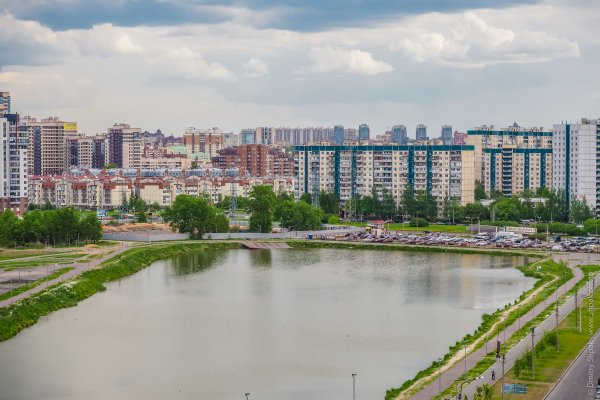 Долгое (озеро, Приморский район Санкт-Петербурга)