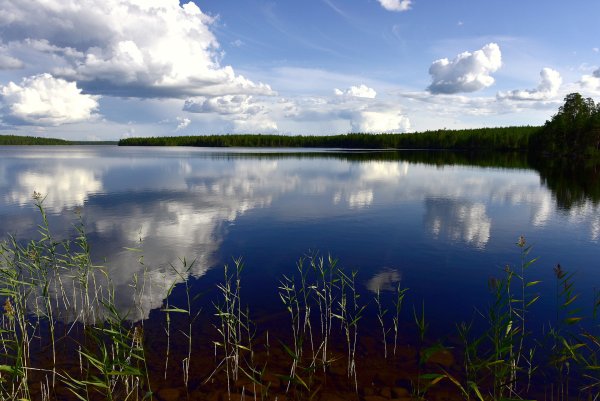 Озеро Нерское Лобня