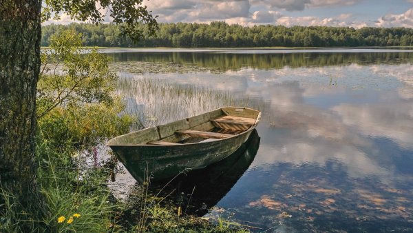 Озеро долгое Солнечногорский район