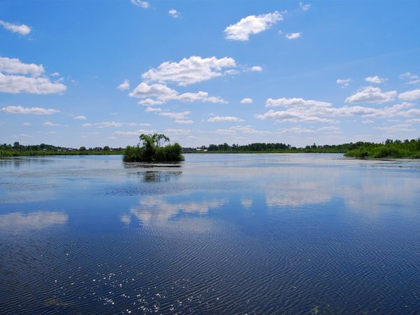 Круглое озеро Лобня