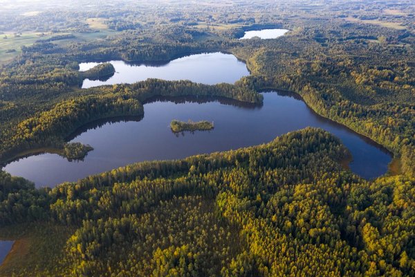 Озеро долгое Беларусь