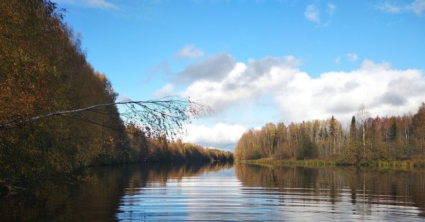 Озеро долгое Архангельская область
