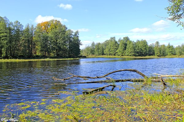 Озеро долгое Кириллов