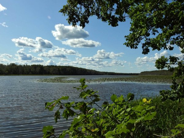 Озеро долгое Хинганский заповедник