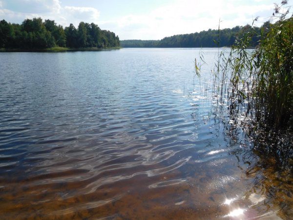 Озеро Подгорское Псковская область