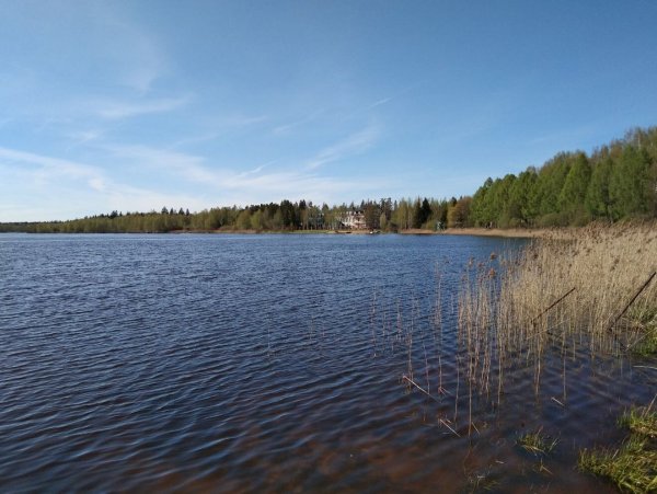 Озеро долгое Лобня