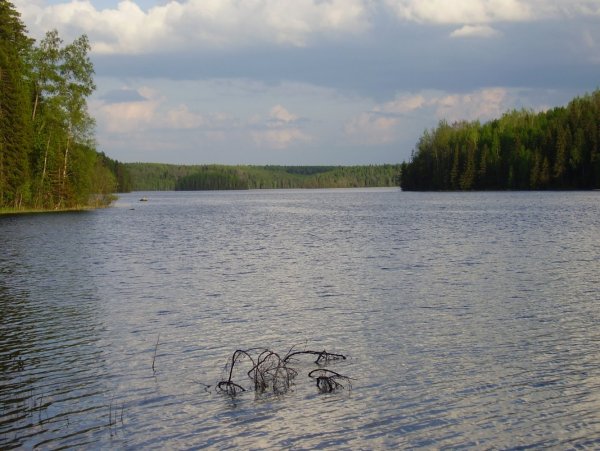 Озеро Островичное Няндома