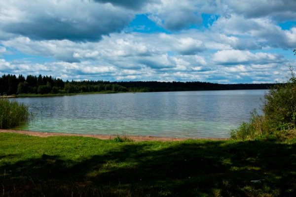 Озеро Нерское Дмитровский район