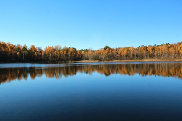 Озеро круглое Дмитровский район