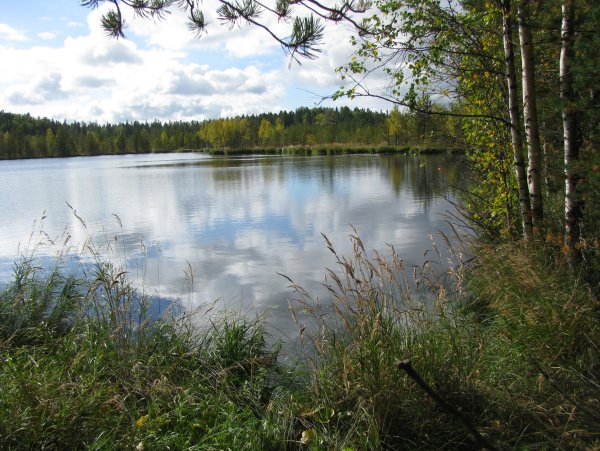 Круглое озеро Брянск