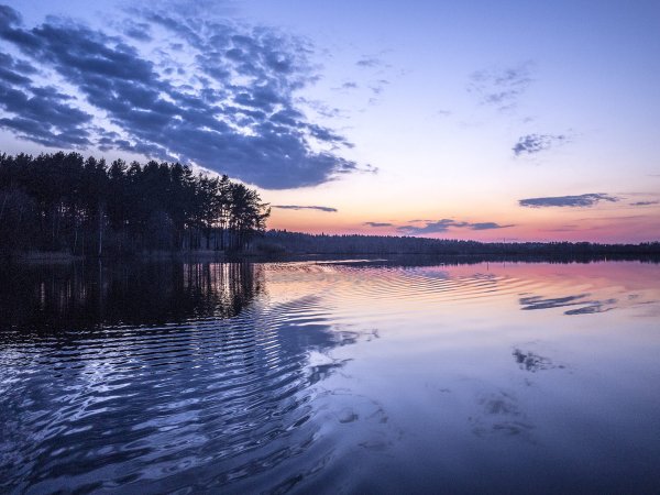 Озеро круглое Дмитровский район Московская