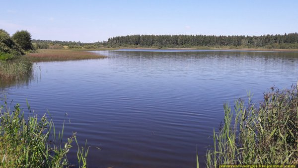 Озеро долгое Липецкая область