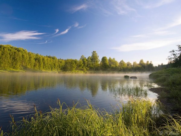 Озеро долгое Сланцевский район