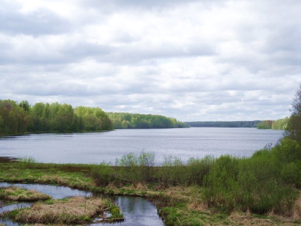 Озеро долгое Ленинградская область Сланцевский район