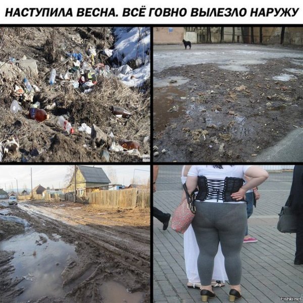 Наступил весной в говно