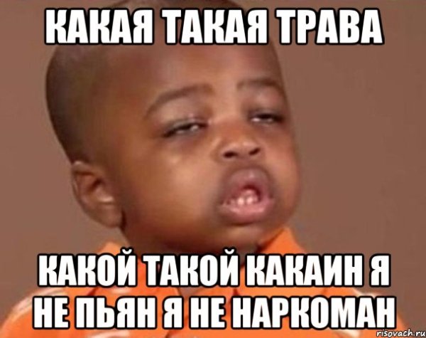 Дима вставай