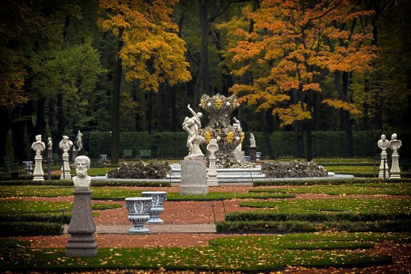 Летний парк в Санкт-Петербурге