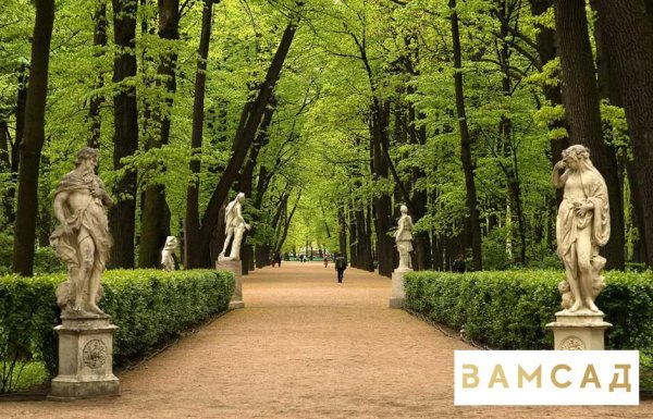 Центральная аллея летнего сада в Санкт-Петербурге