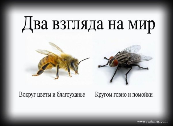 Два взгляда на мир