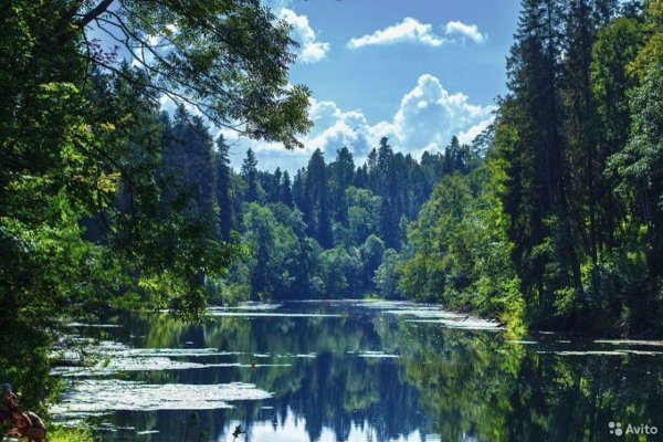 Лопухинка Радоновое озеро