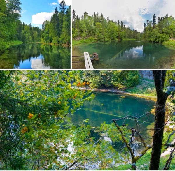 Радоновые источники Ленинградской области Лопухинка