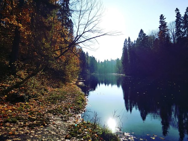 Лопухинка Радоновое озеро осень