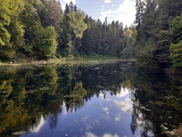 Озеро Лопухинка Ломоносовский район