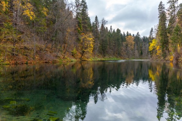 Лопухинка Радоновое озеро
