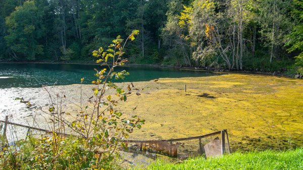 Радоновые источники Лопухинка