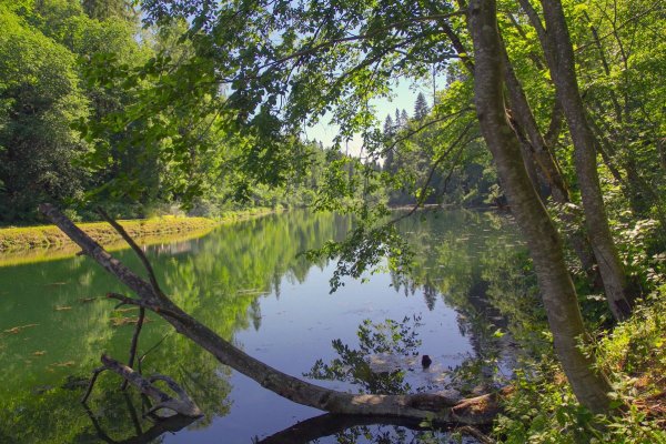 Лопухинка Радоновое озеро