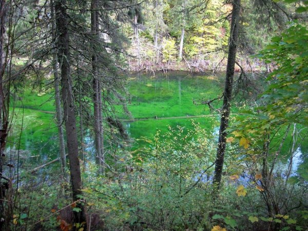 Лопухинка Ломоносовский район Радоновое озеро