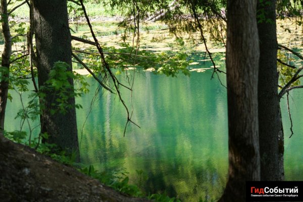 Лопухинка Радоновое озеро