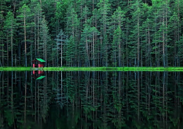 Радоновые озёра в Ленинградской области Лопухинка