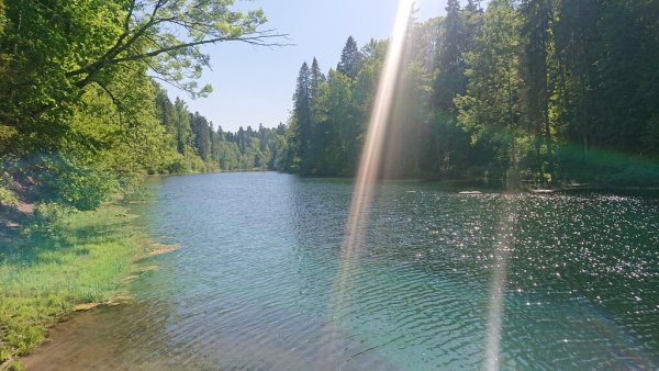 Радоновые озёра в Ленинградской области Лопухинка