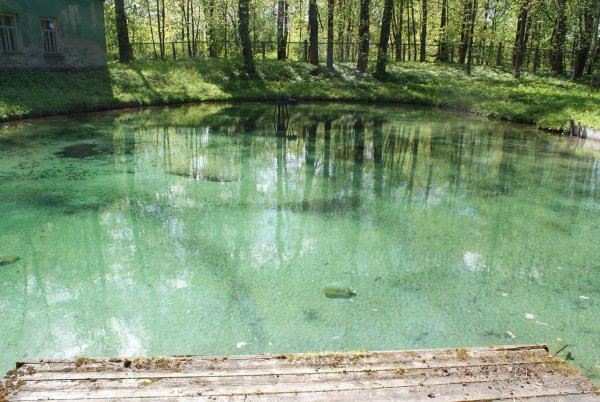 Родник Иордань в Ропше