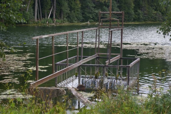 Радоновые озёра в Ленинградской области Лопухинка