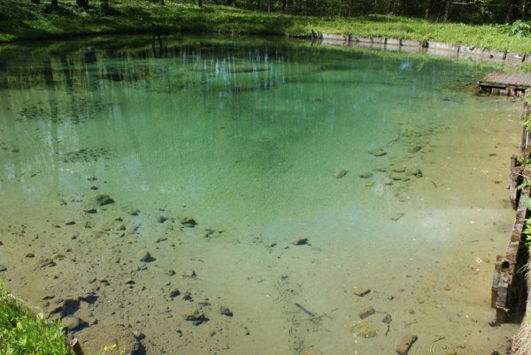 Радоновые озёра в Ленинградской
