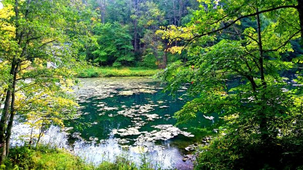 Экотропа Лопухинка радоновые озера