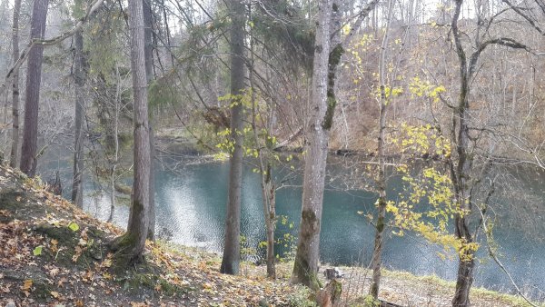 Лопухинка Ломоносовский район Радоновое озеро