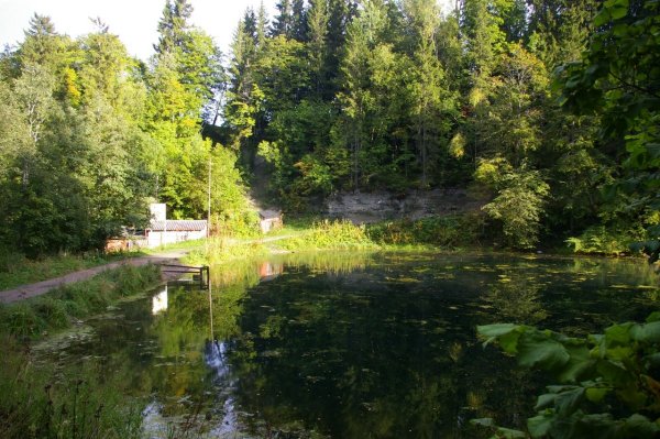 Лопухинка Ломоносовский район Радоновое озеро