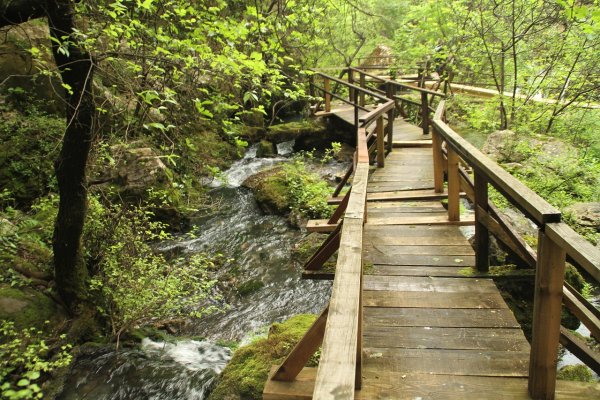 Деревня Лопухинка экотропа